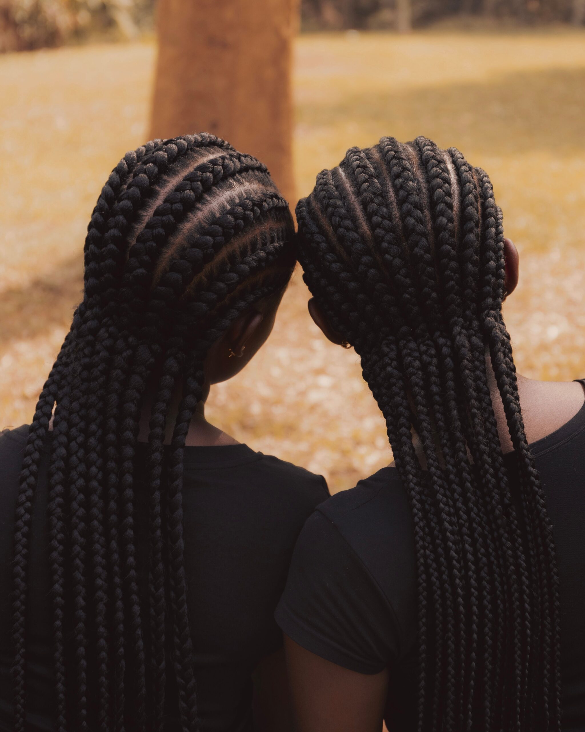 Beauté et cheveu Afro